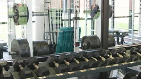 Dumbbells in fitness center