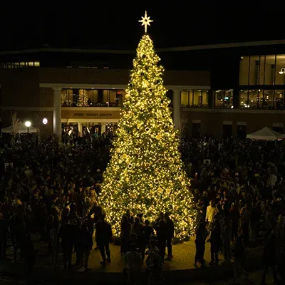 Lighted Christmas tree outside.